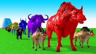 Paint Animals Cow CartoonBuffaloBullyakOxFountain Crossing Animal Game [upl. by Nnaira245]