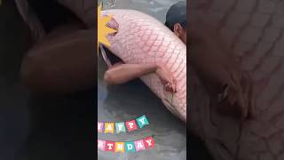 কি করছে দেখুন fishing  fish 🐠 🔥 [upl. by Oidiple]