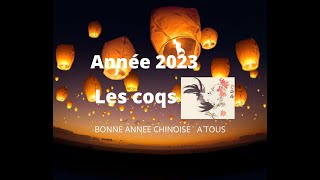 🐓 Coqs signe astrologique chinois pour lannée 2023 🐓 [upl. by Nitneuq]