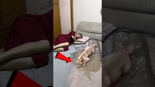 Chinese bed sheet short video  Chinese bed for sleeping short video china facts chinese shorts [upl. by Kowalski]