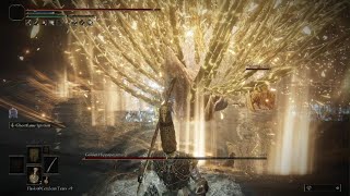 ELDEN RING DLC Guide  Golden Hippopotamus Boss Fight With In Game Summon [upl. by Nyrahs]