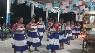 Danza Chalahuiyapaen Atempa Mpio de Ilamatlan VeracruzCEL 7711196165 [upl. by Branscum612]