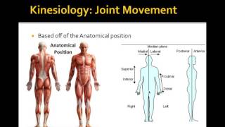 Lecture 3 Biomechanics of Resistance Exercise [upl. by Lauro]