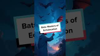 Bats Masters of Echolocation [upl. by Elroy]