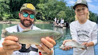 Trout Fishing the Most Insane River [upl. by Noyahs]