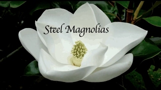 Steel Magnolias  Montage Low Res [upl. by Durant]