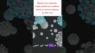 Immunogen Antigen Haptens amp Epitopes مفاهيم مهمة لفهم المناعة medicalstudent lnl immunology [upl. by Hintze670]