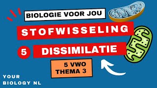 5 vwo  Stofwisseling  5  Dissimilatie [upl. by Gerius]