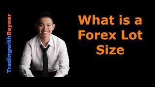 Forex Trading for Beginners 5 What is a Forex Lot Size by Rayner Teo [upl. by Jemine]