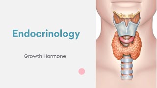 Endocrinology  Growth Hormone [upl. by Zapot438]