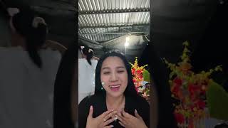 Hồng Phượng livestream giao lưu khán giả mùng 6 Tết 15022024 [upl. by Aiekan128]