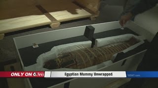 Unwrapping a Mummy [upl. by Furr]