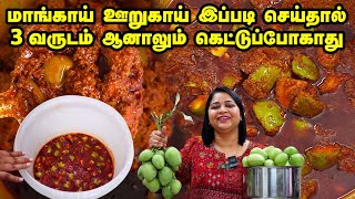 3 வருஷத்துக்கு வெளியே வைத்தாலும் கெட்டுப்போகாதுlMango Pickle My Masal WhatsApp Order 919035018089 [upl. by Eekorehc]