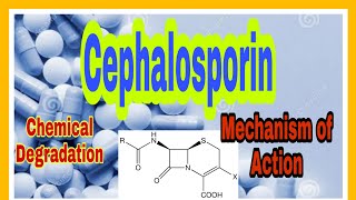 Chemical Degradation of Cephalosporin  Mechanism of action  Antibiotic Betalactam part 10 [upl. by Ariela]