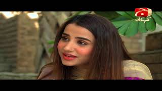 Hiddat  Last Episode 29  Geo Kahani [upl. by Carisa]