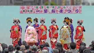 江戸吉原おいらん道中 2018 Edo Yoshiwara Oirandochu Procession [upl. by Nodnab]