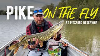 Pitsford Reservoir Pike Fly Fishing  Fly Fishing For Pike  Pike On The Fly [upl. by Ipoillak71]