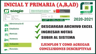 Siagie pasos para INGRESAR NOTAS FINALES inicial y primaria 2020 con ejemplos de conclusiones descr [upl. by Saylor]