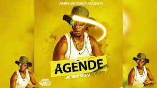 Alien skin  AGENDE  Official Audio Music [upl. by Jurdi]