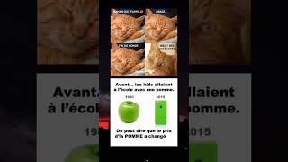 Bruit des croquettes 🤣🤣 drôle memes music rap [upl. by Violetta346]