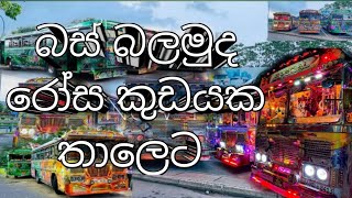 sri lanka bus 🇱🇰 rosa kudayaka song 🇱🇰❤️❤️ [upl. by Shabbir]