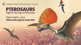 Pterosaurs Flight in the Age of Dinosaurs [upl. by Tterrab]