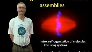 Tim Mitchison Harvard Part 1 Selforganization of microtubule assemblies [upl. by Egroeg]