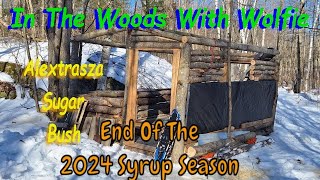 The End of the 2024 Syruping Season [upl. by Lyford]