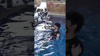 Dog Saves the Day in an Epic Pool Rescue 2024 10 10HeroDog Viral and PoolRescue [upl. by Latimore608]