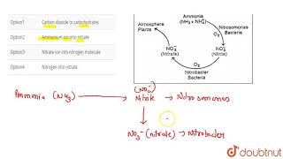 Nitrosomonas and Nitrobacter convert [upl. by Girvin80]