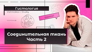 Гистология  КЛЕТКИ СОЕДИНИТЕЛЬНОЙ ТКАНИ [upl. by Ethban141]