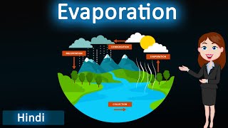 Evaporation  3D animated explanation  class 11th amp 9th science  physical nature of matter [upl. by Adnuhsal]