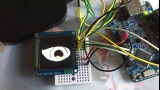 Blinky Eye with FRDMK64F [upl. by Lleuqram808]