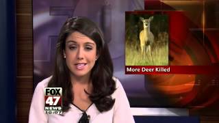 DNR Deer Disease Wont Affect Overall Deer Population [upl. by Leopoldeen]