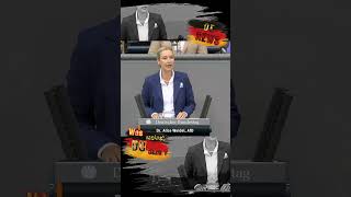 Was feiert ihr so deutschland news nachrichten politik new shorts afd weidel alice [upl. by Janenna448]