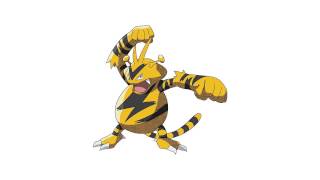 Pokemon Cries  Electabuzz [upl. by Imeaj]