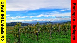 Herbstliche Wanderung auf dem Kaiserstuhlpfad von ENDINGENIHRINGEN 217 km 🦿🦿👀 [upl. by Seroka160]