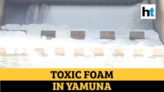 Watch Toxic foam seen floating in river Yamuna at Okhla barrage Delhi [upl. by Aihselef]