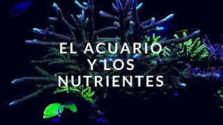 El Acuario y los Nutrientes [upl. by Inama]