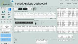 Data Connector exports to Power BI Payroll Examples [upl. by Meijer]