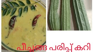 പീച്ചങ്ങ പരിപ്പ് കറി  Peechinga Parippu Curry Recipe എളുപ്പത്തിൽ തയ്യാറാക്കാംMalayalam [upl. by Alpheus136]