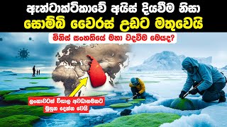 ඇන්ටාක්ටිකාව කොළ පැහැවීමෙන් සොම්බි වෛරස් මතුවෙයි  Antarctica Is Turning Green [upl. by Berlyn303]