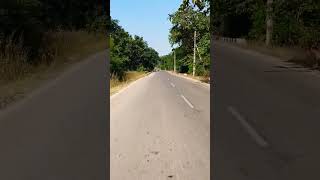 Sirpur saraipali basna bypass roadtrips nhai chhattisgrh [upl. by Eicrad]