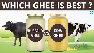 Cow Ghee vs Buffalo Ghee Which is Better  Cow Ghee And Buffalo Ghee Difference  Fitinsider [upl. by Odelle975]