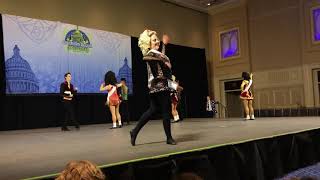 Southern Region Oireachtas 2019 Parade Of Champions [upl. by Tecil]