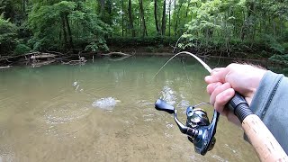 TROUT Fishing with Spinners Brown Brook Rainbow [upl. by Haraj326]