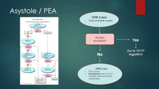 ACLS 2010 Algorithm Review Asystole PEA [upl. by Annmaria]