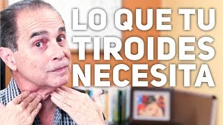 Episodio 1379 Lo Que Tu Tiroides Necesita [upl. by Kcirdek]