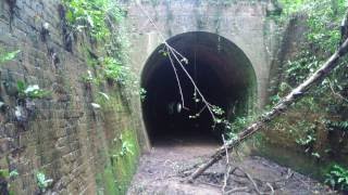 Abandoned and Disused Tunnel on the Kent and East Sussex Railway  update 2017 KESR Tenterden RVR [upl. by Malonis]