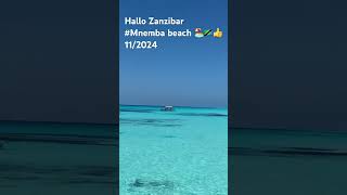 Zanzibar Mnemba Island 🇹🇿🏖️202411 [upl. by Rose777]